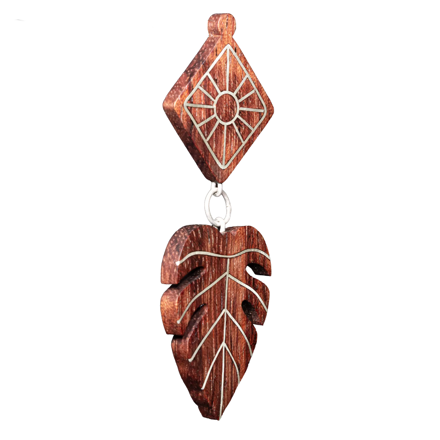 The Monstera Leaf