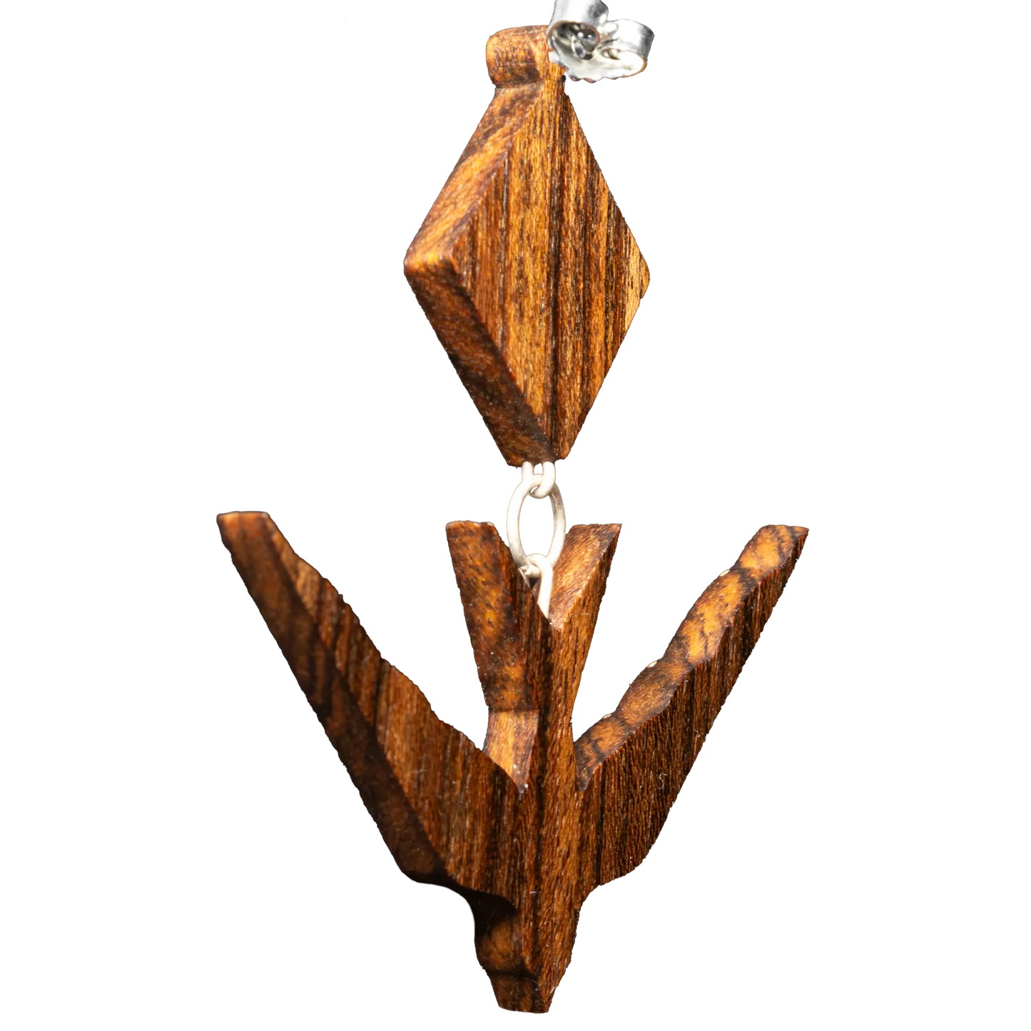 The Diving Swallow